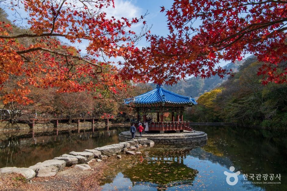 내장산 국립공원 사진 1